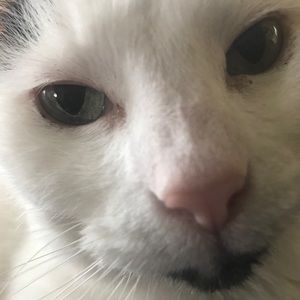 Meet your Posher, Mary